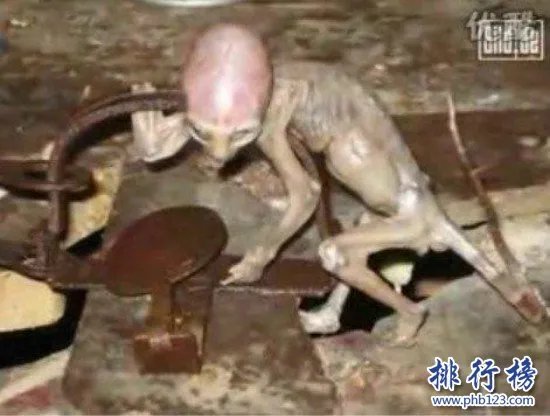 世界上真的有外星人吗？事实证明是有的（发现大量外星人踪迹）