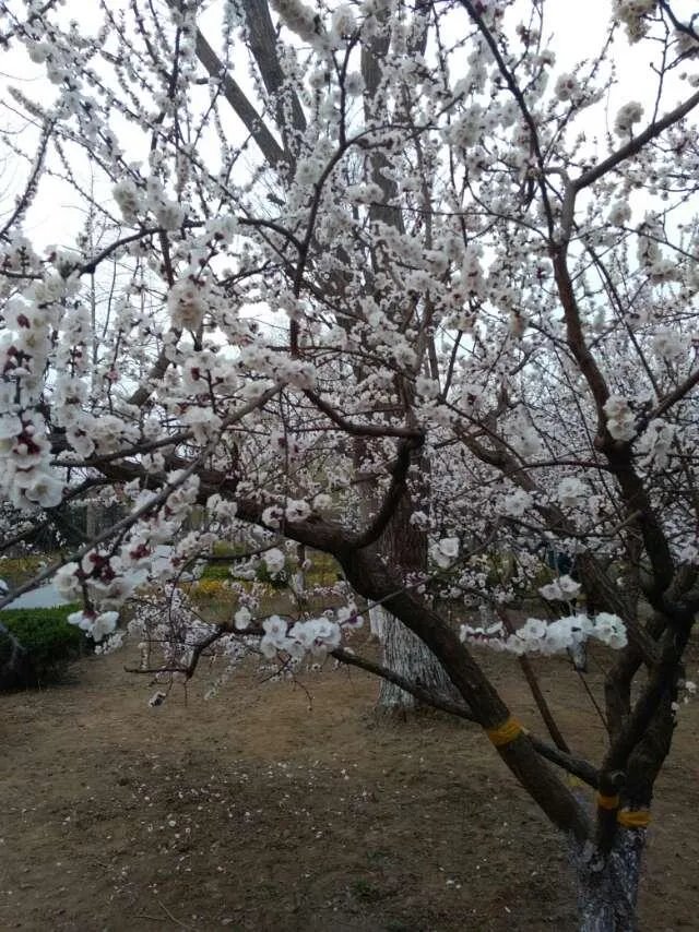 写一句你最中意的诗词歌赋吧？