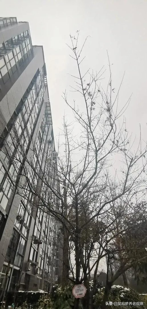 最近想入手美达浅草明苑小区的房子，但是中介推荐了一个边户，美达浅草明苑小区噪音大吗？可以入手吗？