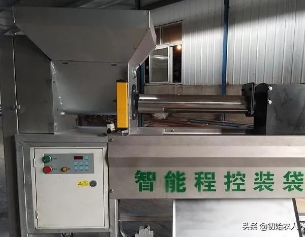 食用菌从种植到加工需要用到什么设备?