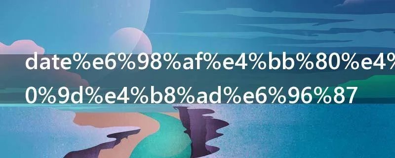 date是什么意思中文