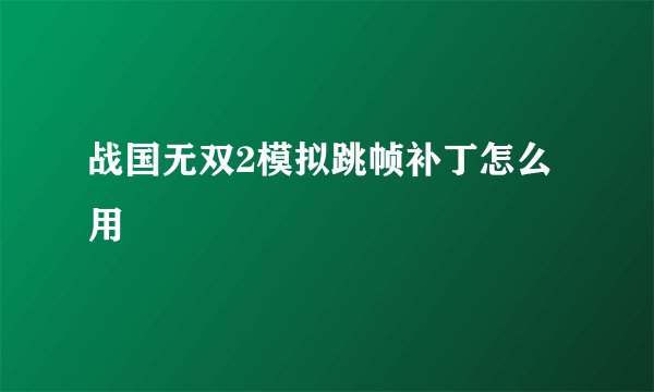 战国无双2模拟跳帧补丁怎么用