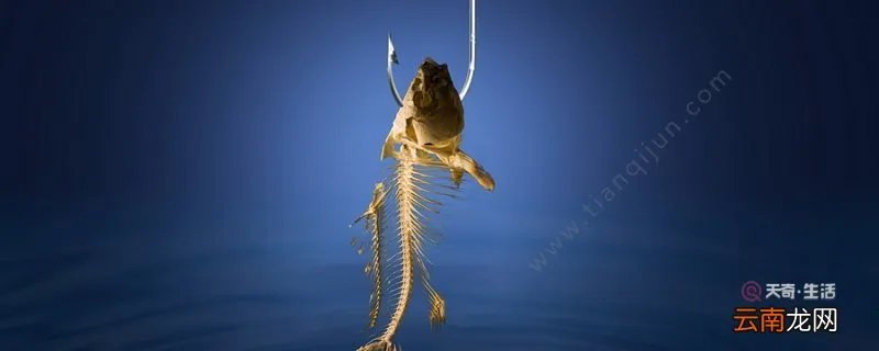 姜太公钓鱼打一数学用语 姜太公钓鱼代表什么数字