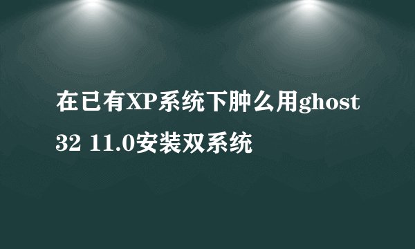 在已有XP系统下肿么用ghost32 11.0安装双系统