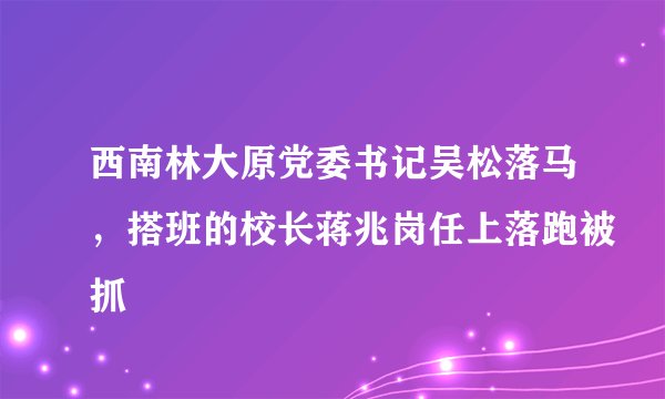 西南林大原党委书记吴松落马，搭班的校长蒋兆岗任上落跑被抓