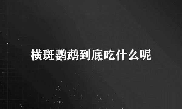 横斑鹦鹉到底吃什么呢