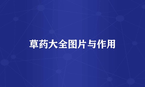 草药大全图片与作用