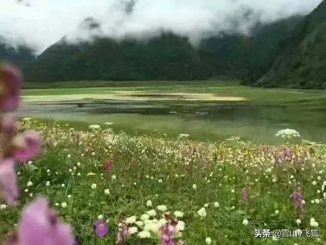 峨眉山清音阁的农家乐有哪些推荐，供老人避暑一个月？