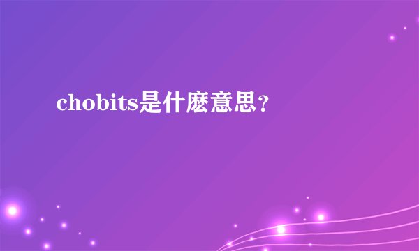 chobits是什麽意思？