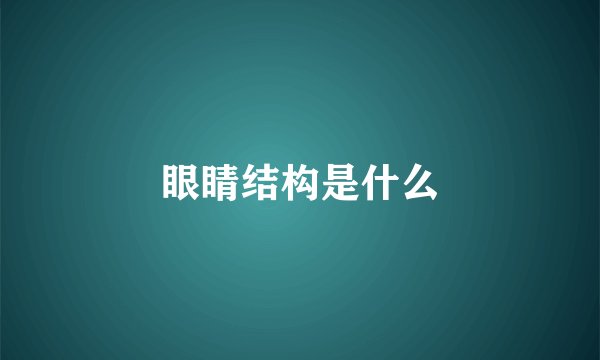 眼睛结构是什么