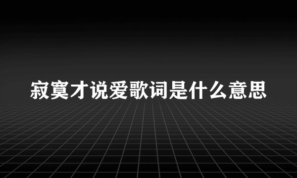 寂寞才说爱歌词是什么意思