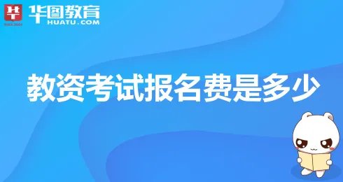 教资考试报名费是多少