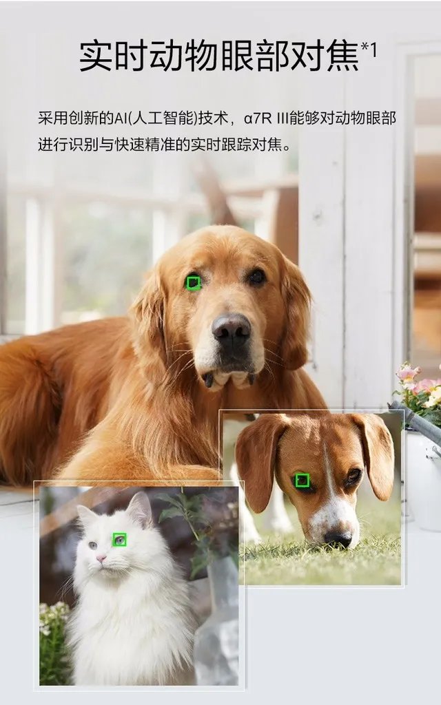 江苏索尼a7m3全画幅微单相机报价12999元