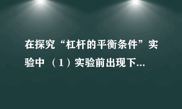 在探究“杠杆的平衡条件”实验中 （1）实验前出现下图甲所示情况，为了使杠杆在水平位置平衡，应将杠杆