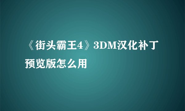 《街头霸王4》3DM汉化补丁预览版怎么用