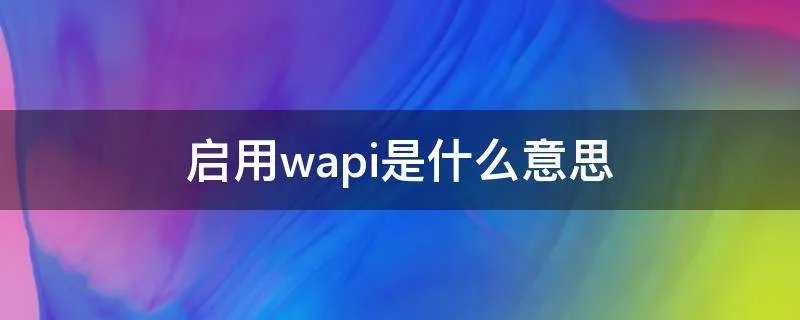 启用wapi是什么意思