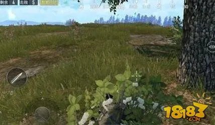 绝地求生手游两个版本哪个好呢