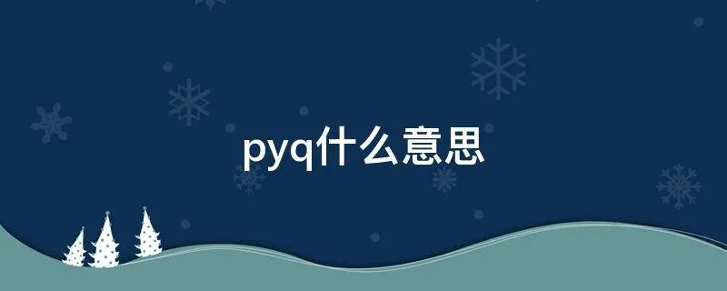 pyq什么意思