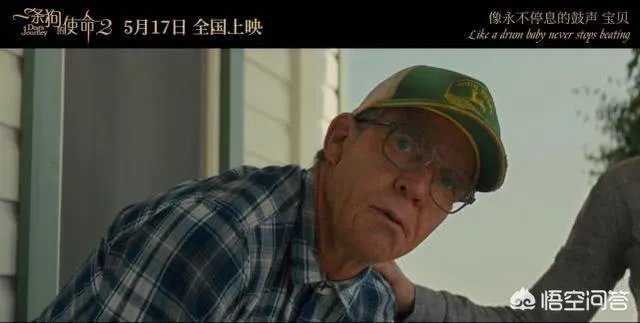 如何评价电影《一条狗的使命2》？