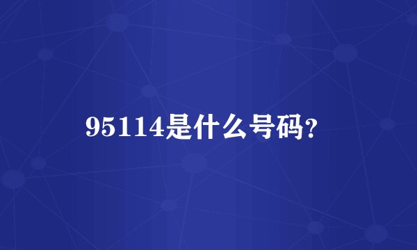 95114是什么号码？