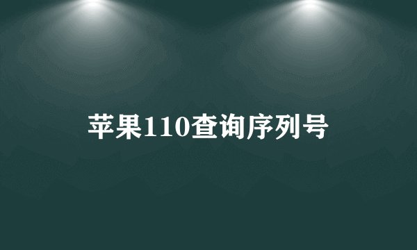 苹果110查询序列号