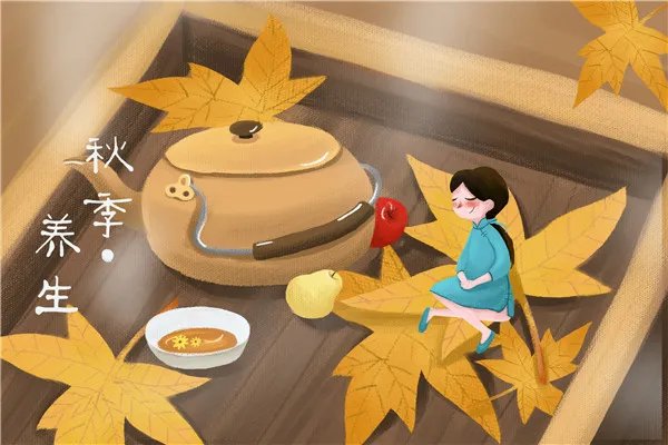 秋季养生茶有哪些