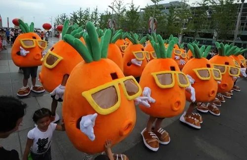 胡萝卜哥的求婚过程