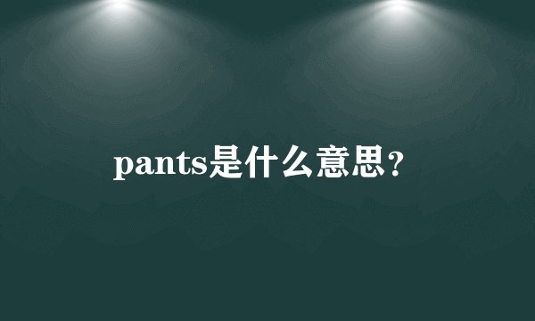 pants是什么意思？