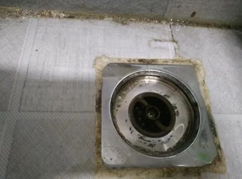 防臭地漏芯怎么取出来