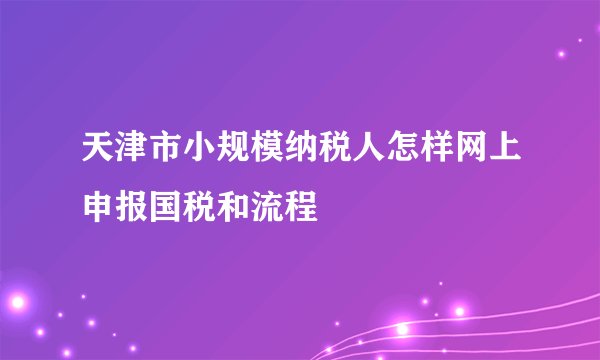 天津市小规模纳税人怎样网上申报国税和流程