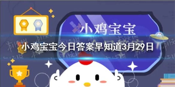 刚出炉的面包，为保持最佳口感，如何保存比较好 小鸡宝宝今日答案早知道3月29日