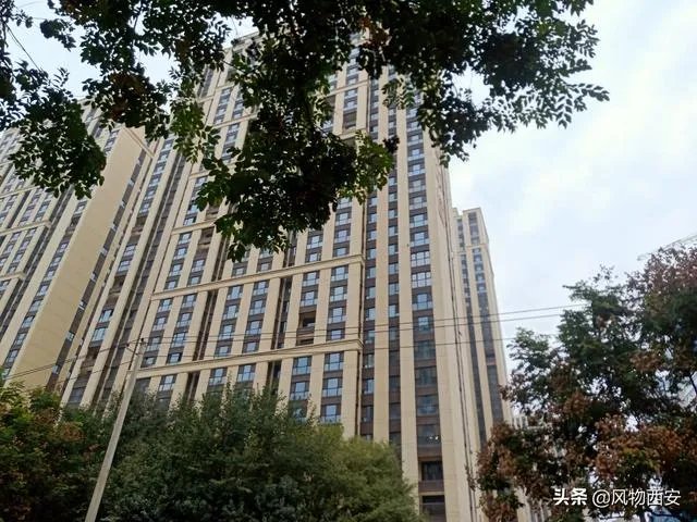 为什么在杨凌买房子的人都后悔了