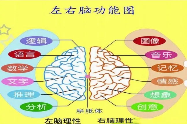 左脑右脑测试图