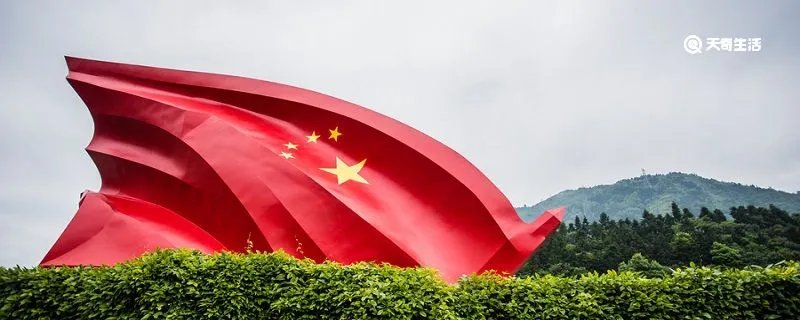 映山红出自电影