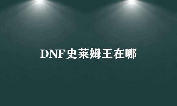 DNF史莱姆王在哪