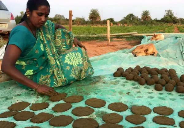 靠牛粪和牛尿，印度成为世界第5大经济体，是因为人口红利吗？