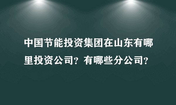 中国节能投资集团在山东有哪里投资公司？有哪些分公司？