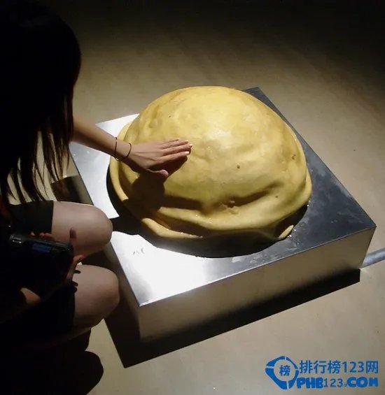 世界上最恐怖的动物排行榜