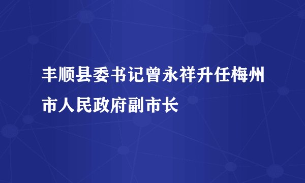 丰顺县委书记曾永祥升任梅州市人民政府副市长