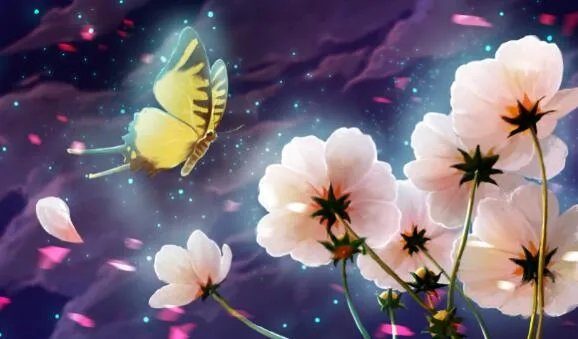 蝴蝶辨别食物味道是用哪个身体部位  蝴蝶是通过什么来辨别食物味道的