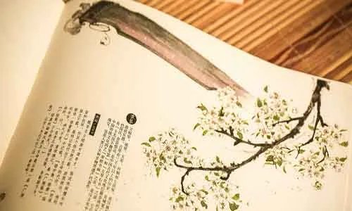 丁外艰和丁内艰的区别