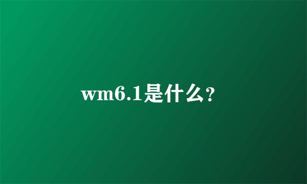 wm6.1是什么？