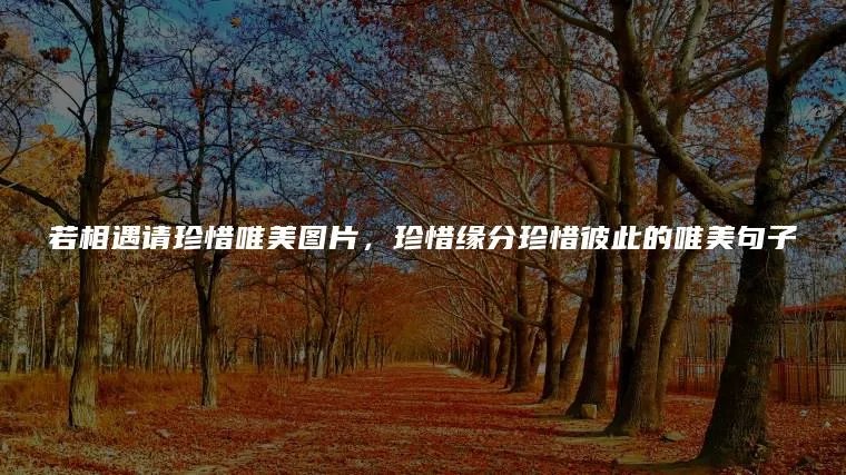 若相遇请珍惜唯美图片，珍惜缘分珍惜彼此的唯美句子