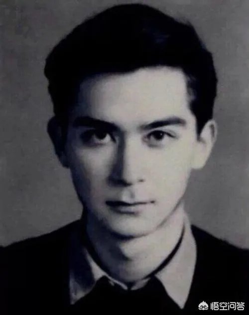 论相貌，王德民和何鸿燊谁帅？