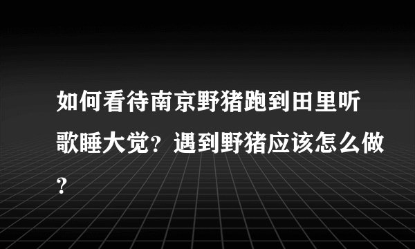 如何看待南京野猪跑到田里听歌睡大觉？遇到野猪应该怎么做？