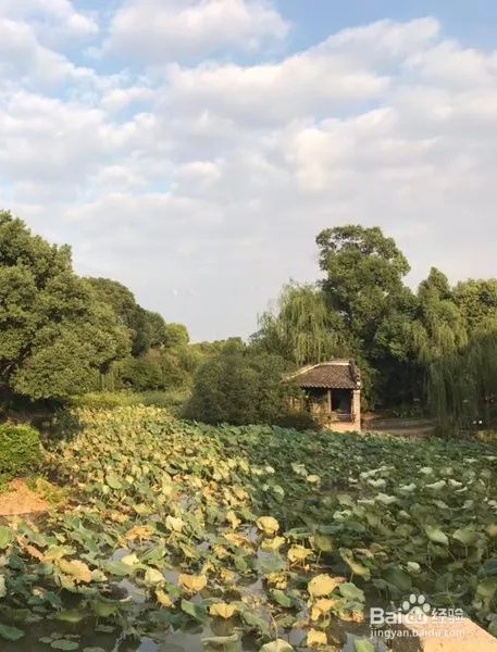 上海韩湘水博园有哪些好玩的景点？