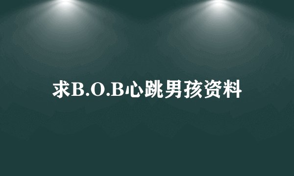 求B.O.B心跳男孩资料