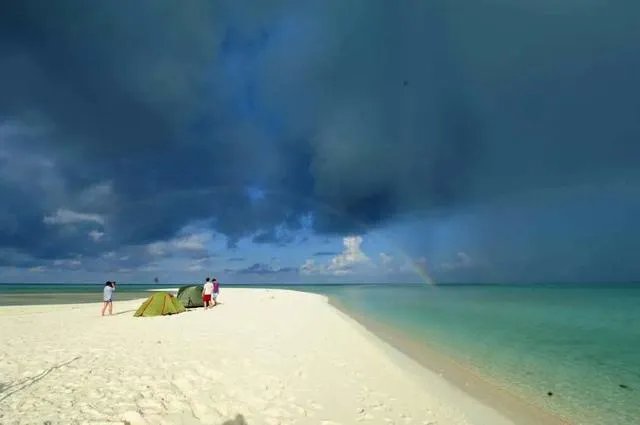 东岛面积是多少？