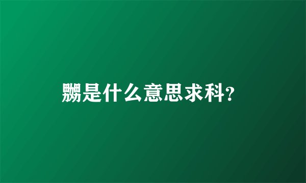 嬲是什么意思求科？