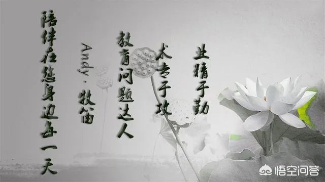 进入世界一流大学建设高校的非985学校有哪些？